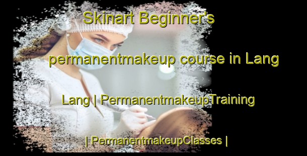 Skinart Beginner's permanentmakeup course in Lang Lang | PermanentmakeupTraining | PermanentmakeupClasses | SkinartTraining-Australia